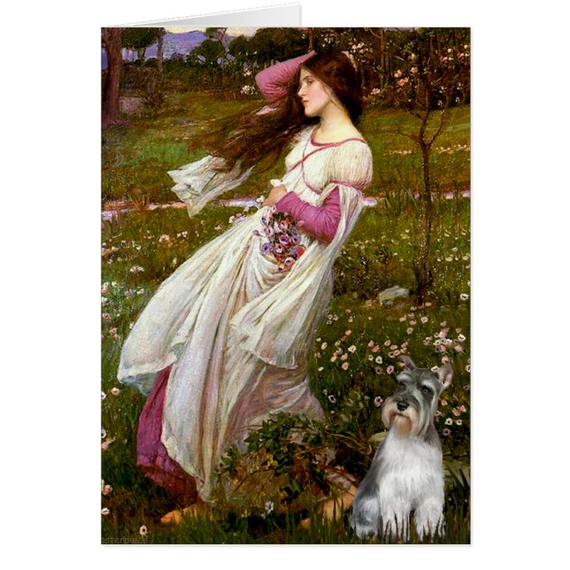 Schnauzer 11N - Windflowers (Front)