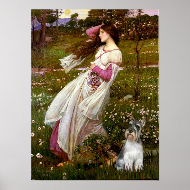 Schnauzer 11N - Windflowers Poster (Front)
