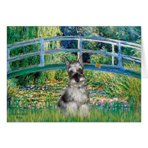 Schnauzer 1 - Bridge