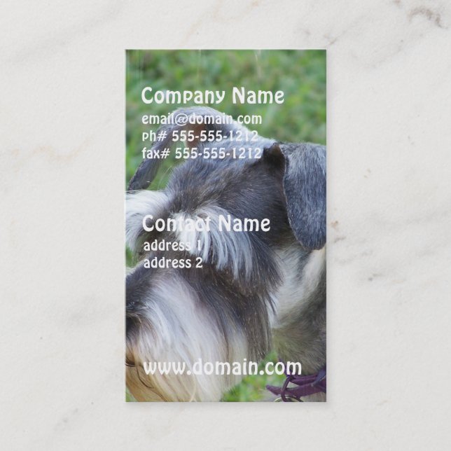 Schnauzer Business Cards (Front)