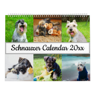 Schnauzer Calendar