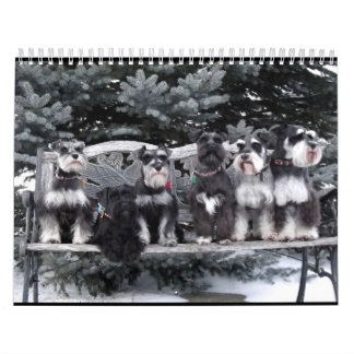 Schnauzer Calendar 2018