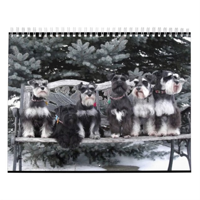 Schnauzer Calendar 2018 (Cover)