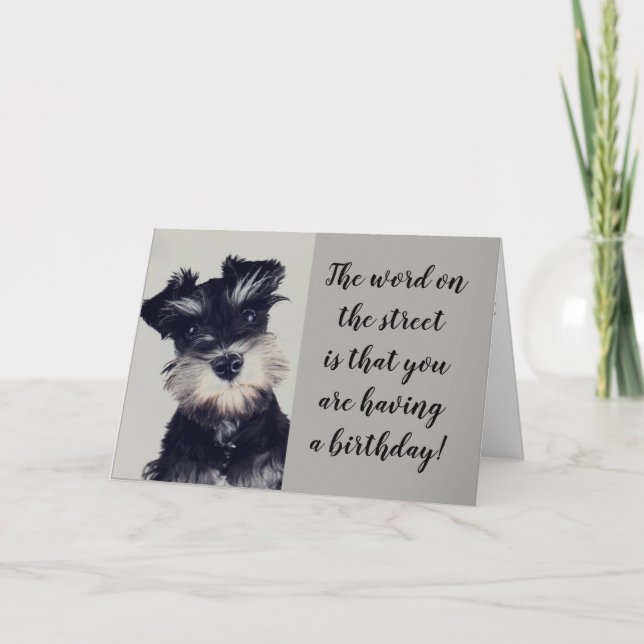 SCHNAUZER CAN'T BELIEVE THE NEWS **50?** CARD (Front)