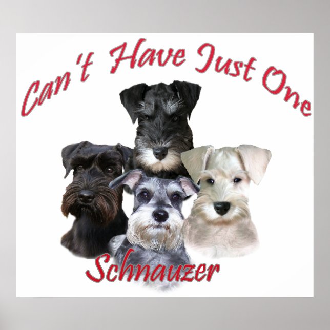 Schnauzer Can't Have Just One Prints (Front)