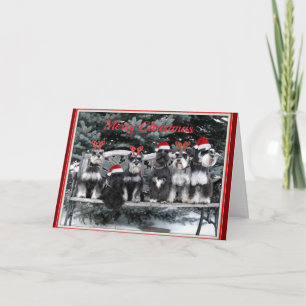 Schnauzer Christmas card