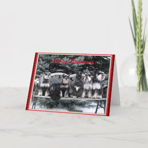 Schnauzer Christmas Card