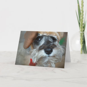 Schnauzer Christmas Holiday Card