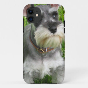 Schnauzer Dog iPhone 11 Case