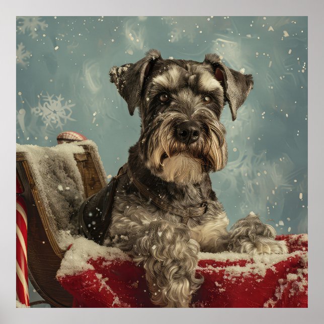 Schnauzer Dog Christmas Festive Poster (Front)