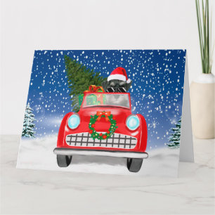Schnauzer Dog Driving Car In Snow Christmas  Card