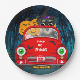 schnauzer Dog Driving Car Scary Halloween Paper Plate