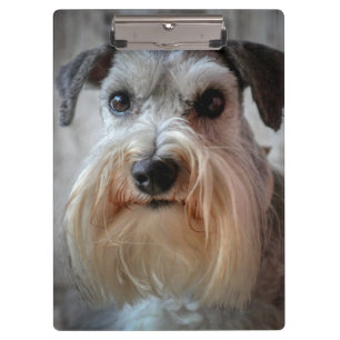 Schnauzer Dog face Clipboard