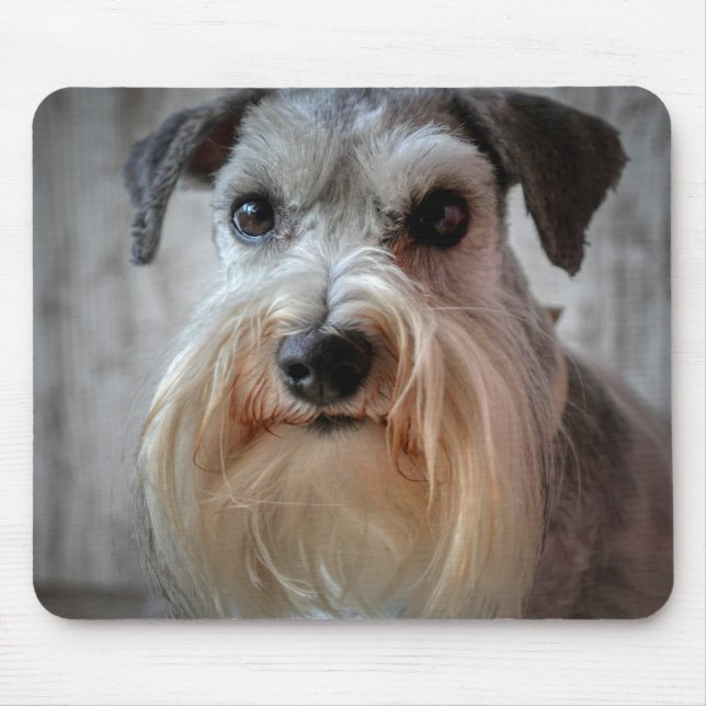 Schnauzer Dog face Mouse Mat (Front)