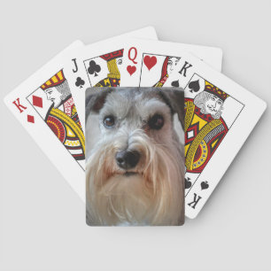 Schnauzer Dog face Playing Cards