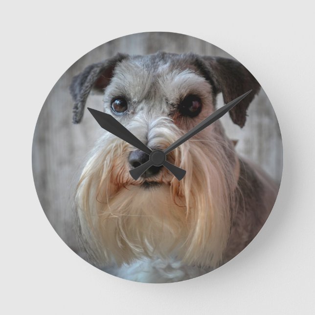 Schnauzer Dog face Round Clock (Front)