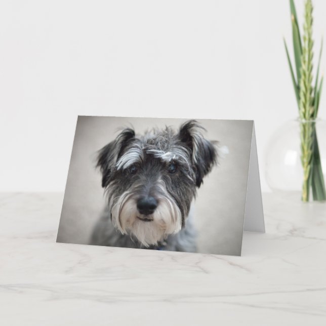 Schnauzer Dog Greeting Card (Front)