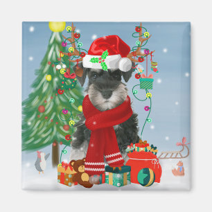 Schnauzer Dog in Snow Christmas  Magnet