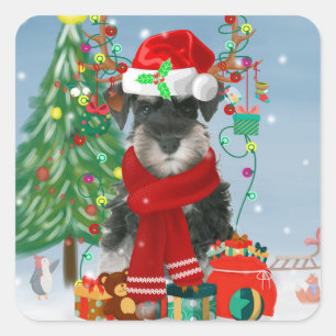 Schnauzer Dog in Snow Christmas  Square Sticker
