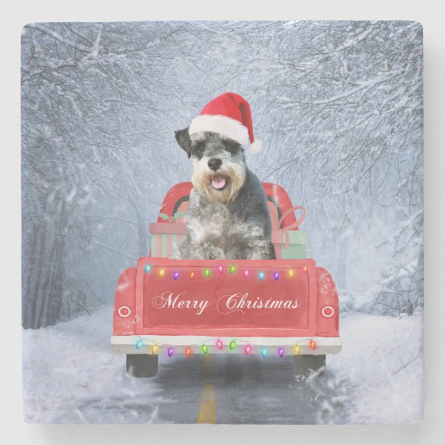  Schnauzer Dog in Snow sitting in Christmas Truck  Stone Coaster (Front)
