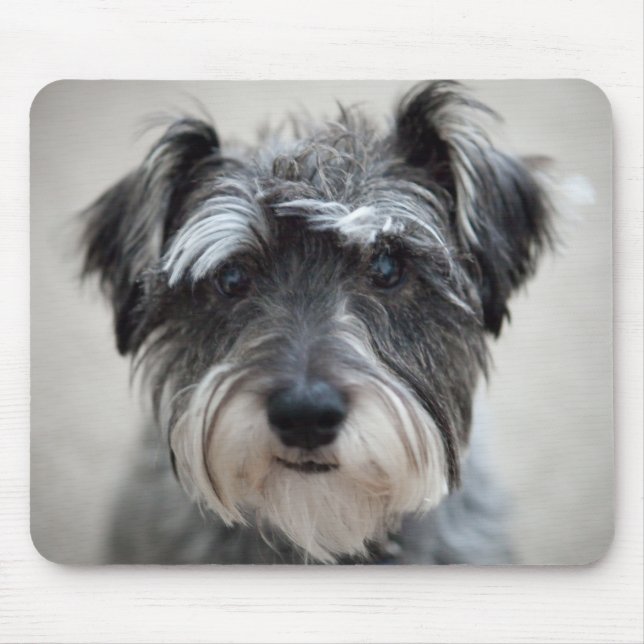Schnauzer Dog Mouse Pad (Front)
