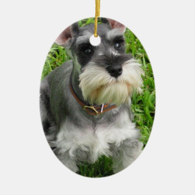 Schnauzer Dog Ornament (Front)