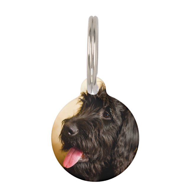 Schnauzer Dog Pet Tag (Front)