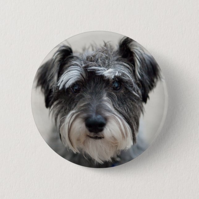 Schnauzer Dog Round Pin (Front)