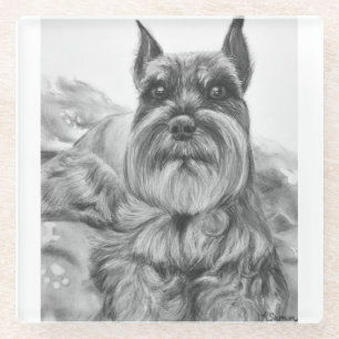 Schnauzer Drawing Glass Coaster