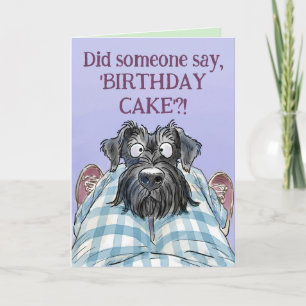 Schnauzer Funny Hungry Birthday Greetings Card