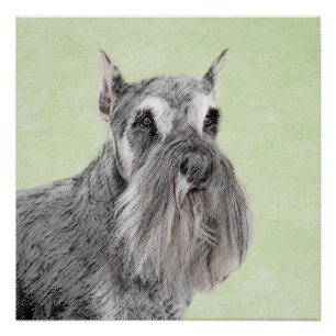 Schnauzer (Giant, Standard) Painting - Dog Art Poster