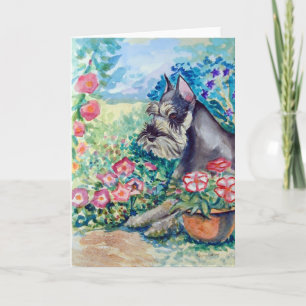 Schnauzer Greeting Cards