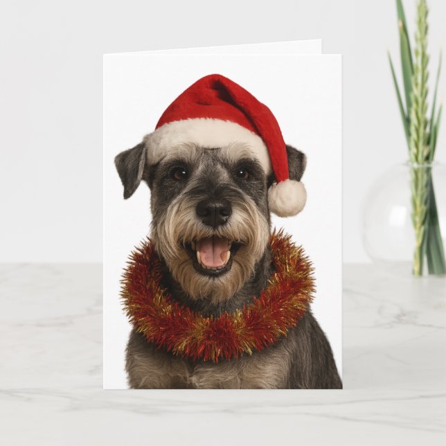 Schnauzer in a Santa hat Christmas card (Front)