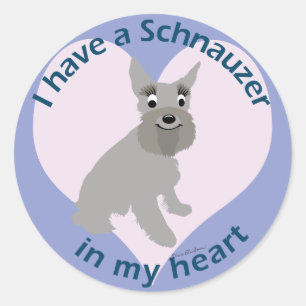Schnauzer In My Heart Classic Round Sticker