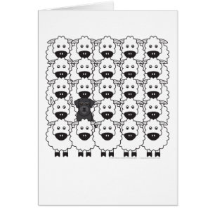 Schnauzer in the Sheep