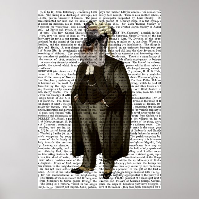 Schnauzer Lawyer Poster (Front)