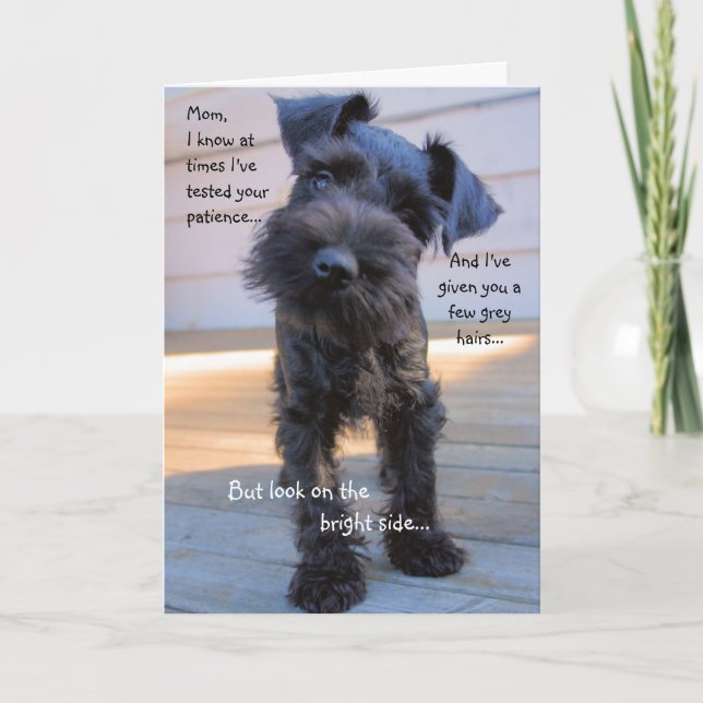 Schnauzer Mother's Day Greeting Card (Front)