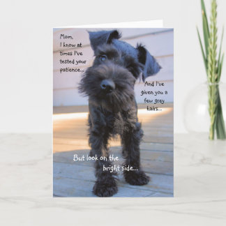 Schnauzer Mother's Day Greeting Card