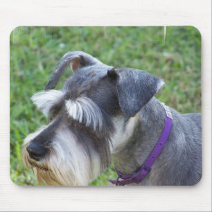 Schnauzer Mouse Pad