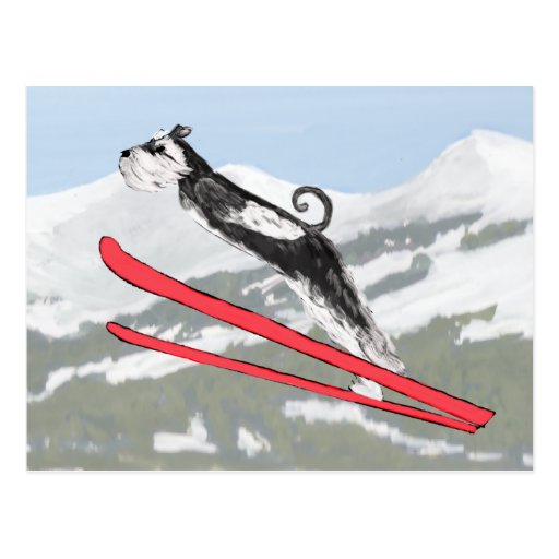 Image of Schnauzer on Skis! Postcard