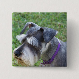 Schnauzer Pin