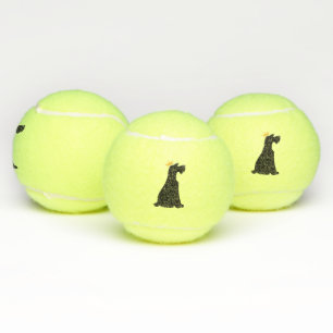 Schnauzer Prince Tennis Balls
