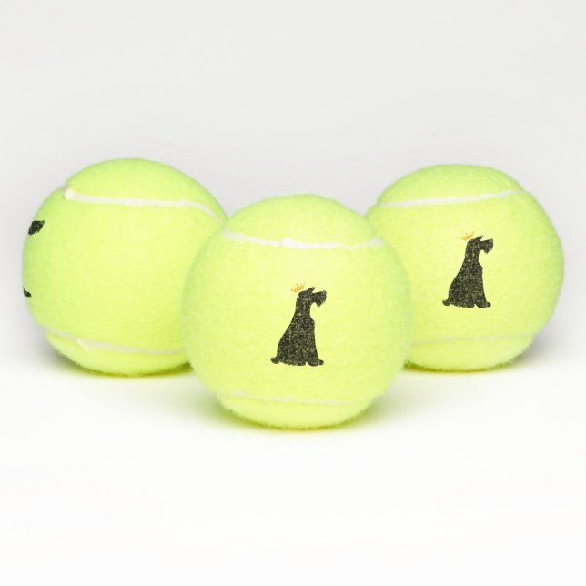 Schnauzer Prince Tennis Balls (Multi)