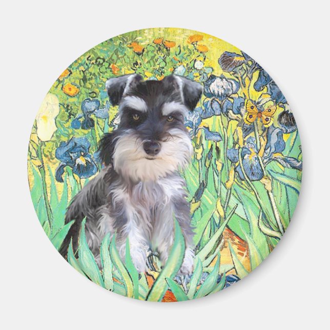 Schnauzer Pup 10Znat - Irises Magnet (Front)