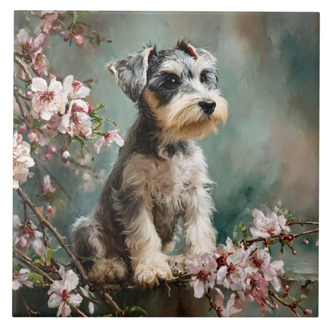 Schnauzer Puppy Among Spring Cherry Blossoms Tile (Front)