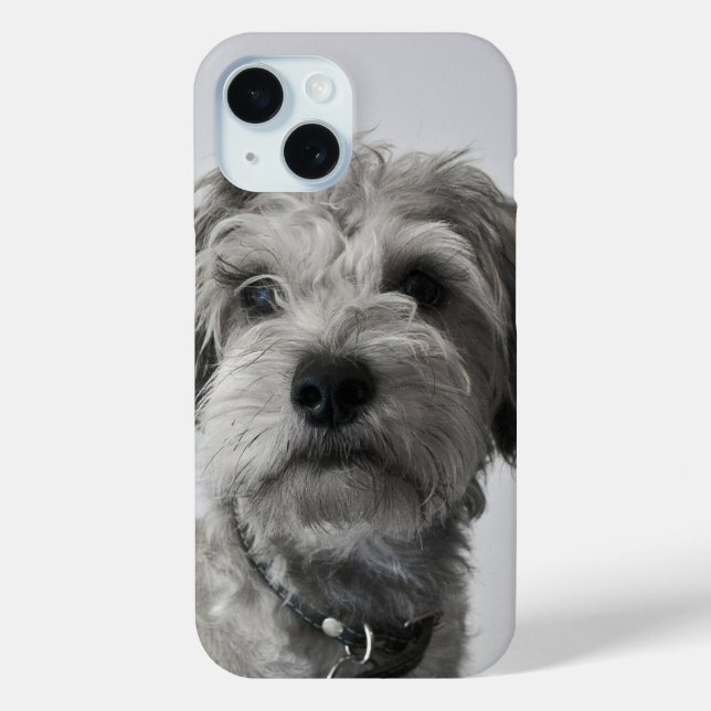 Schnauzer Puppy Case-Mate iPhone Case (Back)