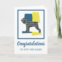 Schnauzer Puppy Dog Congratulations Greeting Card