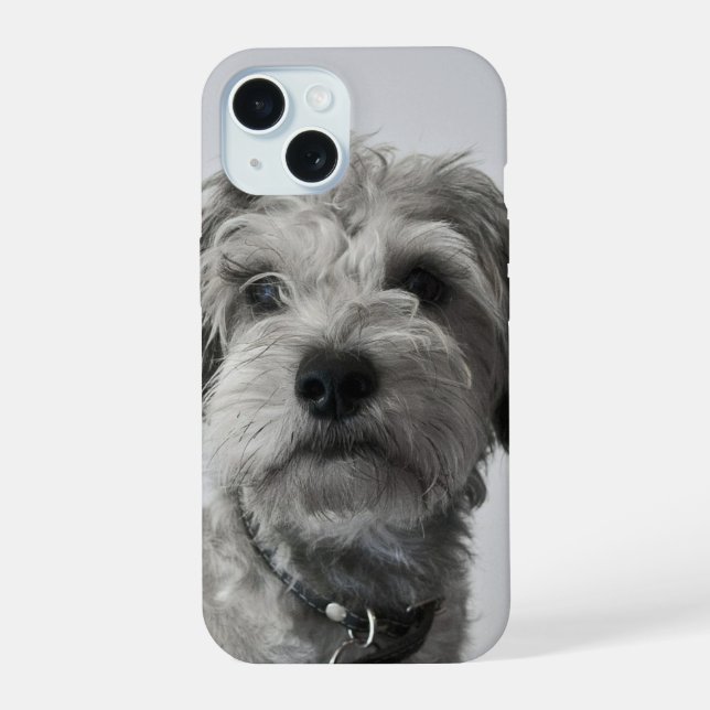 Schnauzer Puppy iPhone 15 Case (Back)
