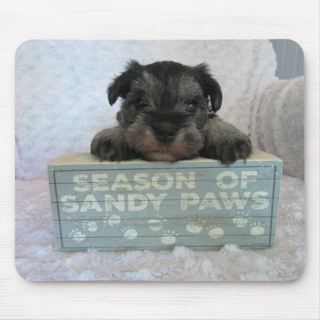 Schnauzer Puppy mouse pad (Front)