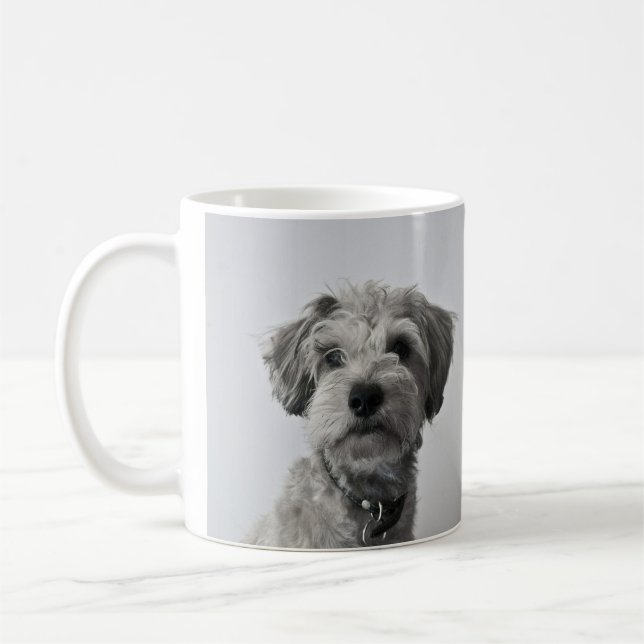 Schnauzer Puppy Portrait Photo Coffee Mug (Left)